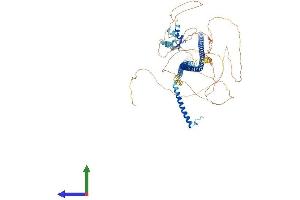 Protein Structure (PS) image for RAB11 Family Interacting Protein 3 (Class II) (RAB11FIP3) (AA 1-756) protein (His tag) (ABIN7555154)