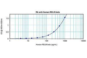 Image no. 1 for anti-Resistin Like beta (RETNLB) antibody (ABIN465490) (RETNLB 抗体)