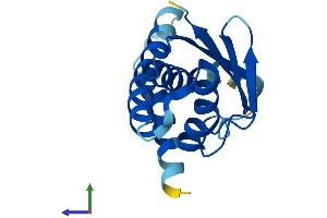 Protein Structure (PS) image for Trafficking Protein Particle Complex 6B (TRAPPC6B) (AA 1-158) protein (His tag) (ABIN7560903)