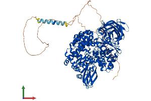 AlphaFold protein structure predicition of Human Recombinant LNPEP Protein, UniprotID Q9UIQ6