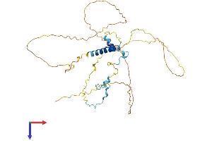 AlphaFold protein structure predicition of Human Recombinant FAM217B Protein, UniprotID Q9NTX9