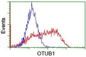 Image no. 2 for anti-OTU Domain, Ubiquitin Aldehyde Binding 1 (OTUB1) antibody (ABIN1499929) (OTUB1 抗体)