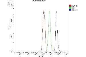 Flow Cytometry analysis of Jurkat cells using anti-Bcl-XL antibody (ABIN5518741). (BCL2L1 抗体  (AA 1-219))