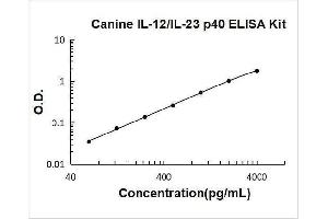 Typical Standard Curve