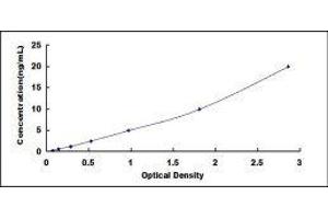 Dopachrome Tautomerase (DCT) ELISA Kit
