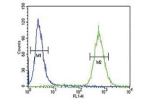 Flow Cytometry (FACS) image for anti-Glial Cell Line Derived Neurotrophic Factor (GDNF) (AA 8-36) antibody (ABIN3031042)