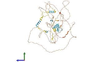 AlphaFold protein structure predicition of Human Recombinant ZNF185 Protein, UniprotID O15231