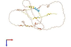AlphaFold protein structure predicition of Human Recombinant C12orf42 Protein, UniprotID Q96LP6