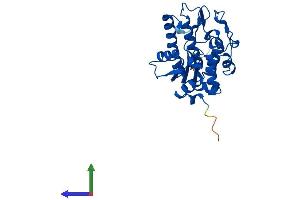 Protein Structure (PS) image for Single-Strand-Selective Monofunctional Uracil-DNA Glycosylase 1 (SMUG1) (AA 1-279) protein (His tag) (ABIN7557995)