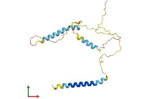 AlphaFold protein structure predicition of Mouse Recombinant Bnip3 Protein, UniprotID O55003