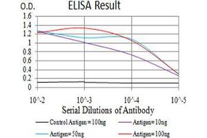 Black line: Control Antigen (100 ng);Purple line: Antigen (10ng); Blue line: Antigen (50 ng); Red line:Antigen (100 ng) (POMC 抗体  (AA 1-150))