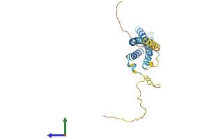 Protein Structure (PS) image for CKLF-Like MARVEL Transmembrane Domain Containing 4 (CMTM4) (AA 1-234) protein (His tag) (ABIN7546525)