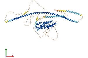 Protein Structure (PS) image for Kazrin (KAZ) (AA 1-779) protein (His tag) (ABIN7557892)