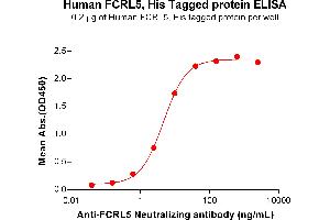 ELISA image for Fc Receptor-Like 5 (FCRL5) (AA 16-850) protein (His tag) (ABIN7092781)
