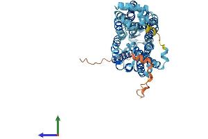 Protein Structure (PS) image for Solute Carrier Family 22 Member 6 (SLC22A6) (AA 1-563) protein (His tag) (ABIN7555311)