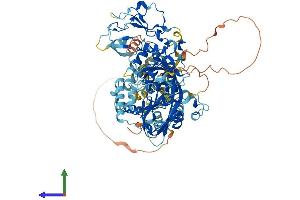 Protein Structure (PS) image for Diacylglycerol Kinase, beta 90kDa (DGKB) (AA 1-802) protein (His tag) (ABIN7557945)