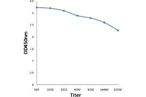 Antigen: 0. (Luciferase 抗体)