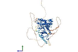 AlphaFold protein structure predicition of Mouse Recombinant Dyrk1b Protein, UniprotID Q9Z188