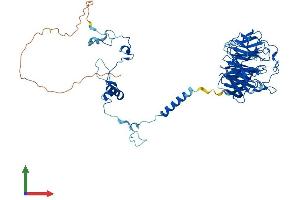 Protein Structure (PS) image for Cell Division Cycle 40 (CDC40) (AA 1-579) protein (His tag) (ABIN7550940)