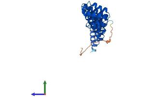 Protein Structure (PS) image for N-Ethylmaleimide-Sensitive Factor Attachment Protein, gamma (NAPG) (AA 1-312) protein (His tag) (ABIN7560698)