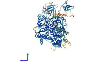 AlphaFold protein structure predicition of Mouse Recombinant Plcg2 Protein, UniprotID Q8CIH5