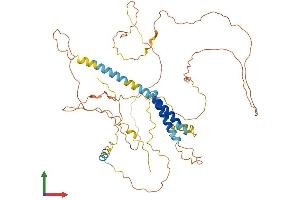 AlphaFold protein structure predicition of Human Recombinant TMEM200A Protein, UniprotID Q86VY9