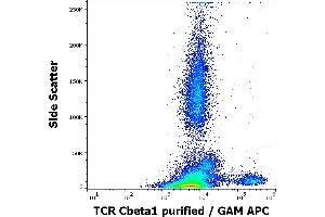 Flow cytometry surface staining pattern of human peripheral whole blood stained using anti-human TCR Cbeta1 (JOVI. (TCR, Cbeta1 抗体)