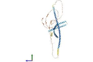 Protein Structure (PS) image for Testis-Specific serine Kinase Substrate (TSKS) (AA 1-592) protein (His tag) (ABIN7544870)