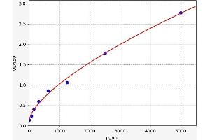 Typical standard curve (IRAK3 ELISA 试剂盒)