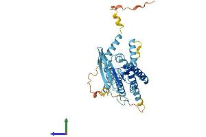 AlphaFold protein structure predicition of Mouse Recombinant Septin5 Protein, UniprotID Q9Z2Q6