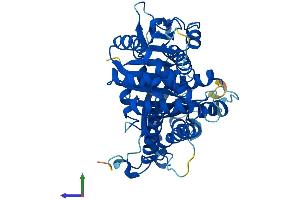 Protein Structure (PS) image for Tubulin, gamma 2 (TUBG2) (AA 1-451) protein (His tag) (ABIN7559822)