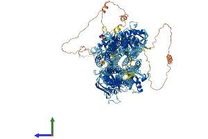 Protein Structure (PS) image for ATP-Binding Cassette, Sub-Family C (CFTR/MRP), Member 5 (ABCC5) (AA 1-1437) protein (His tag) (ABIN7554624)