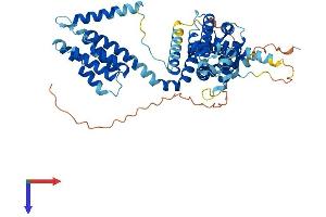 AlphaFold protein structure predicition of Human Recombinant TCP11L2 Protein, UniprotID Q8N4U5