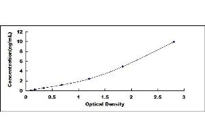 Typical standard curve (Reelin ELISA 试剂盒)