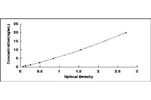 Typical standard curve (S100A7A ELISA 试剂盒)