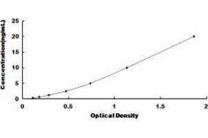 Typical standard curve (REPIN1 ELISA 试剂盒)