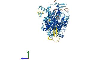 Protein Structure (PS) image for Solute Carrier Family 26, Member 3 (SLC26A3) (AA 1-757) protein (His tag) (ABIN7556317)