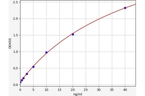 Prokineticin Receptor 1 ELISA 试剂盒