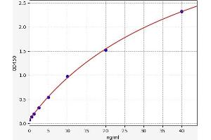 Typical standard curve (Prokineticin Receptor 1 ELISA 试剂盒)