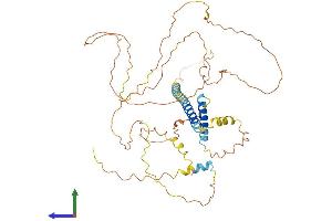 AlphaFold protein structure predicition of Mouse Recombinant Tmem200a Protein, UniprotID Q8C817