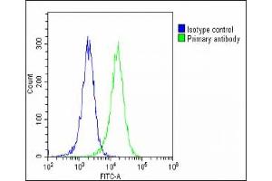 Overlay histogram showing Hela cells stained with (ABIN1538640 and ABIN2849307)(green line).