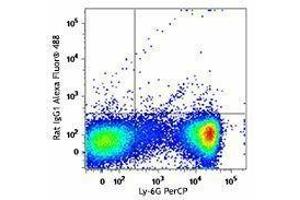 Flow Cytometry (FACS) image for Rat anti-Mouse IgE antibody (Alexa Fluor 488) (ABIN2667217) (大鼠 anti-小鼠 IgE Antibody (Alexa Fluor 488))