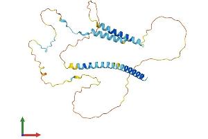 Protein Structure (PS) image for Mitochondrial Fission Factor (MFF) (AA 1-291) protein (His tag) (ABIN7558036)