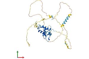 Protein Structure (PS) image for Forkhead Box B1 (FOXB1) (AA 1-325) protein (His tag) (ABIN7557857)