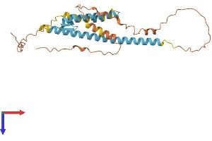 AlphaFold protein structure predicition of Human Recombinant TVP23C Protein, UniprotID Q96ET8 (TVP23C/FAM18B2 Protein (AA 1-276) (His tag))