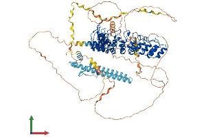 Protein Structure (PS) image for Espin (ESPN) (AA 1-871) protein (His tag) (ABIN7565069)