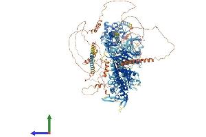 Protein Structure (PS) image for Myosin IIIA (MYO3A) (AA 1-1616) protein (His tag) (ABIN7554694)