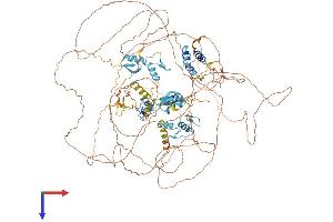 AlphaFold protein structure predicition of Human Recombinant ZEB1 Protein, UniprotID P37275 (ZEB1 Protein (AA 1-1124) (His tag))