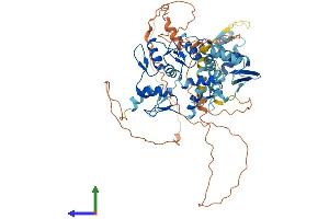AlphaFold protein structure predicition of Human Recombinant MYNN Protein, UniprotID Q9NPC7 (Myoneurin Protein (MYNN) (AA 1-610) (His tag))