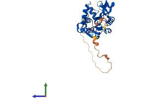 Protein Structure (PS) image for Uridine-Cytidine Kinase 1 (UCK1) (AA 1-277) protein (His tag) (ABIN7545032)